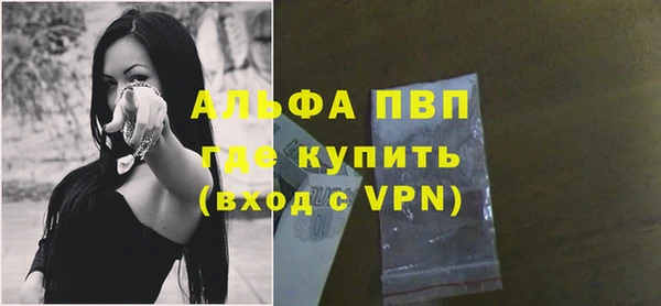 индика Осташков