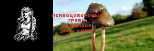 индика Осташков