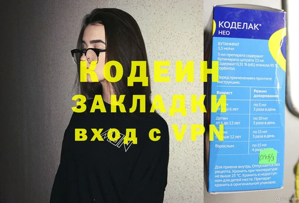 индика Осташков