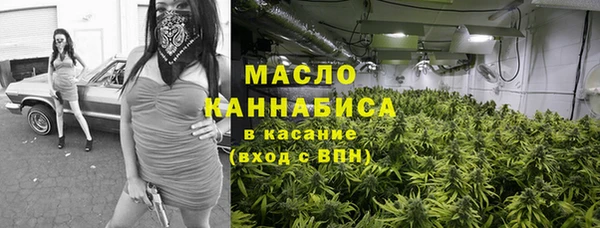 индика Осташков