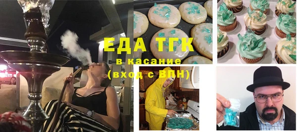 индика Осташков
