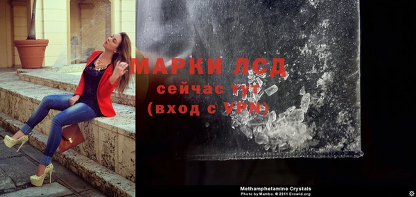 индика Осташков