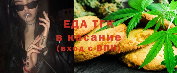 индика Осташков