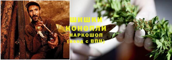 индика Осташков