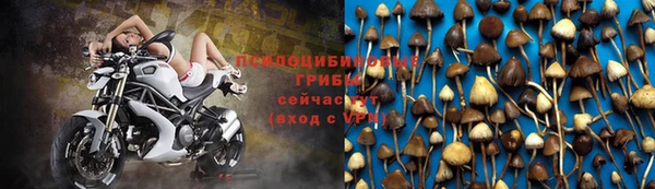 индика Осташков
