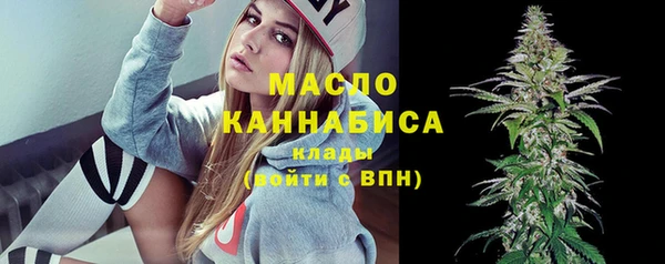 индика Осташков
