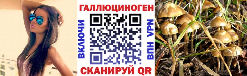 Псилоцибиновые грибы MAGIC MUSHROOMS  закладка  Черкесск 