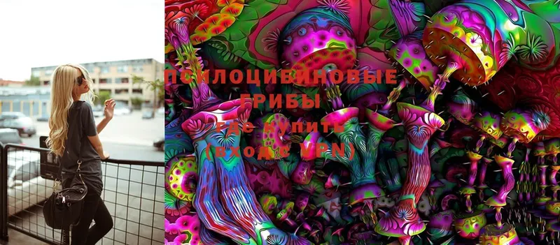 Галлюциногенные грибы MAGIC MUSHROOMS  Черкесск 