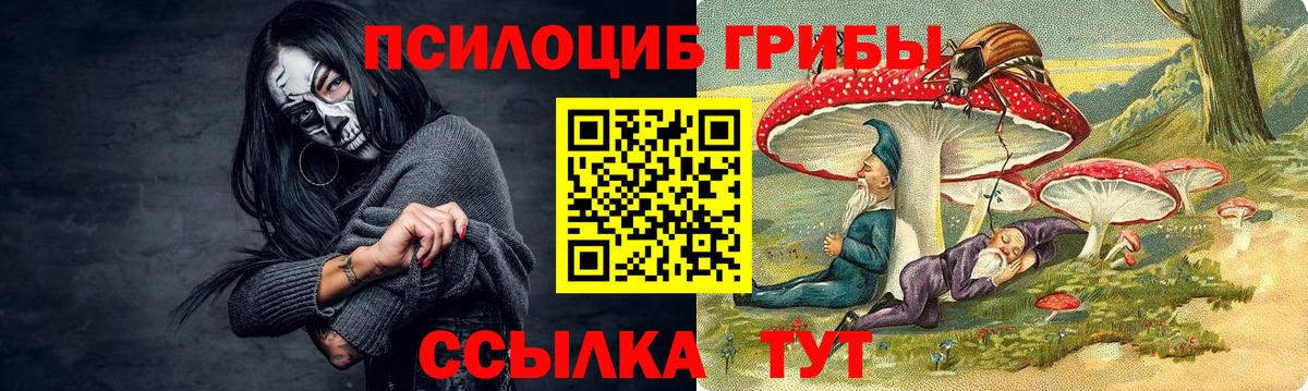 Черкесск  Галлюциногенные грибы прущие грибы  Псилоцибиновые грибы мицелий  Вход с VPN 