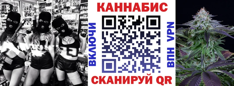 Шишки марихуана семена  Черкесск 